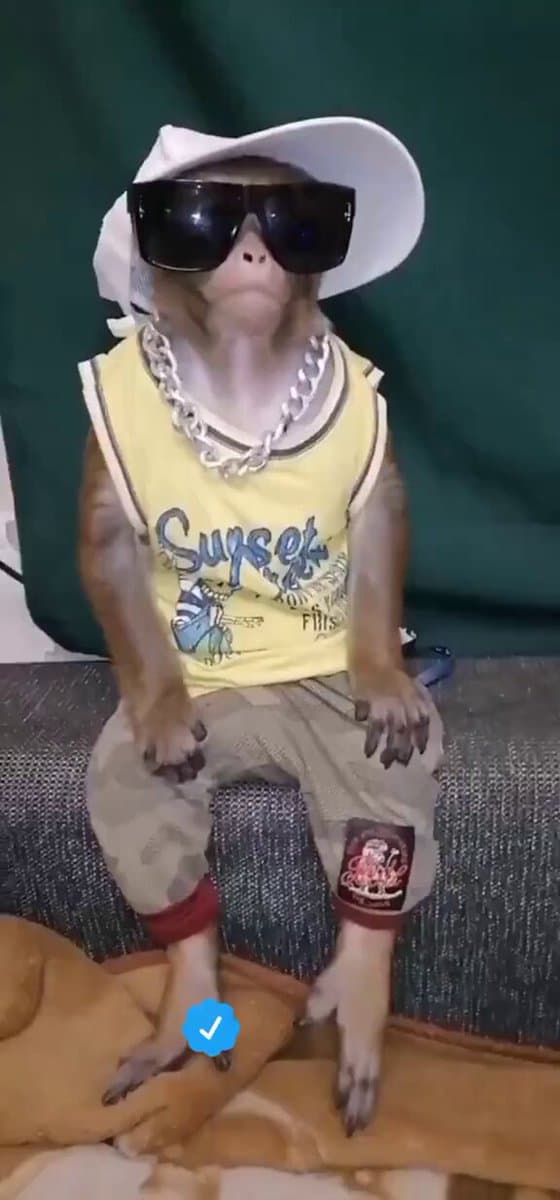 Media content 1